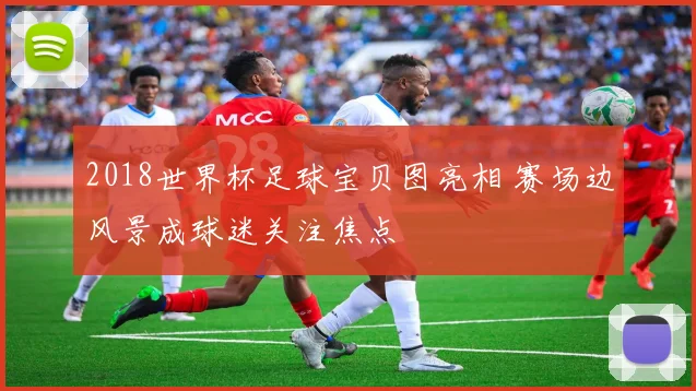 2018世界杯足球宝贝图亮相 赛场边风景成球迷关注焦点