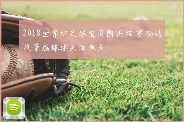 2018世界杯足球宝贝图亮相 赛场边风景成球迷关注焦点