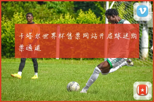 卡塔尔世界杯售票网站开启球迷购票通道