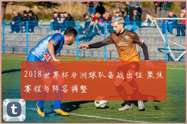 2018世界杯非洲球队备战出征 聚焦赛程与阵容调整